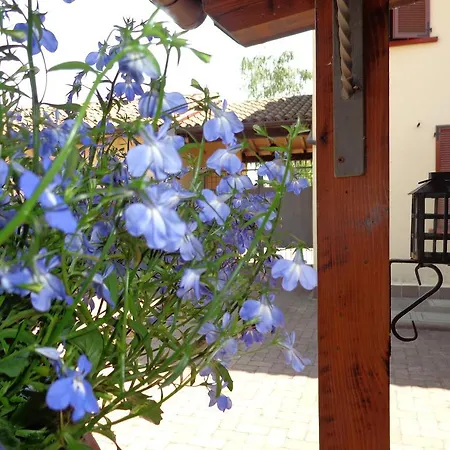 Il Sole Del Borgo Отель типа 