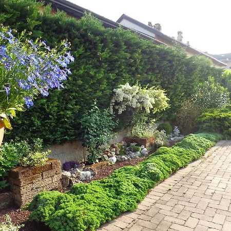 Il Sole Del Borgo Бинаско