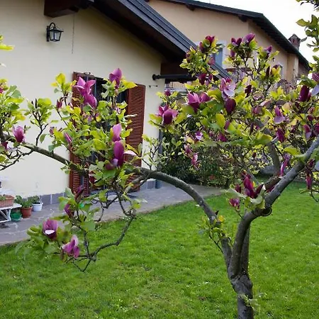 Il Sole Del Borgo
